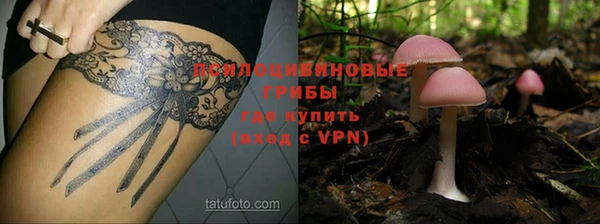 винт Аркадак