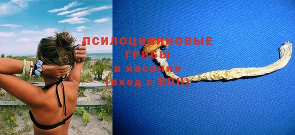 твердый Армянск
