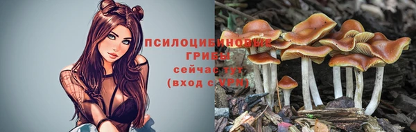 дурь Арсеньев
