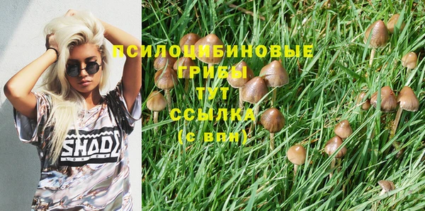 винт Аркадак