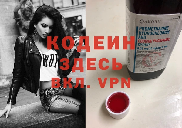 дурь Арсеньев