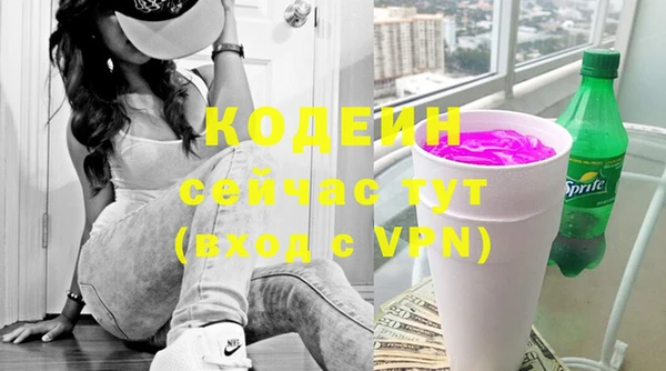 дурь Арсеньев